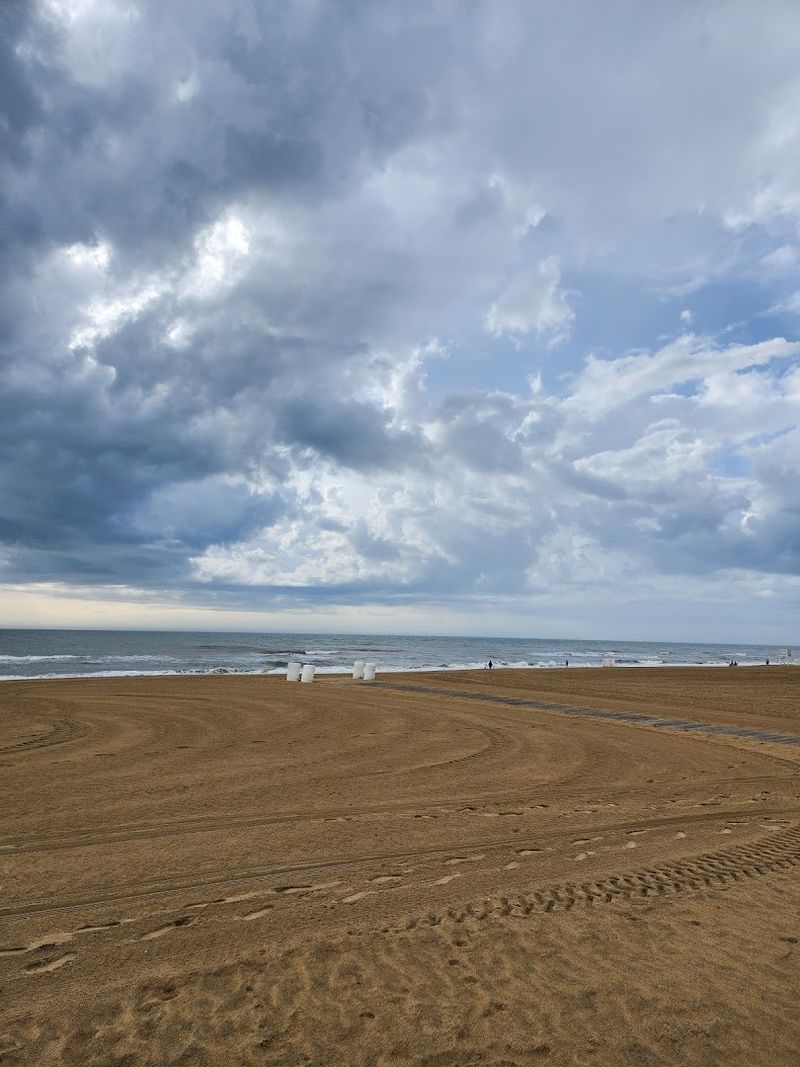 Permits and Beach Rules That Keep It All Running