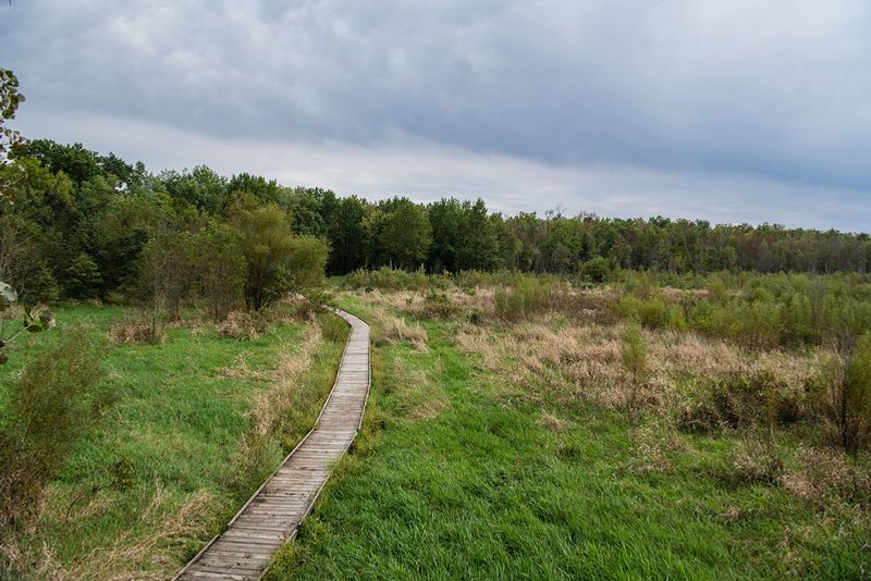 Pershing State Park