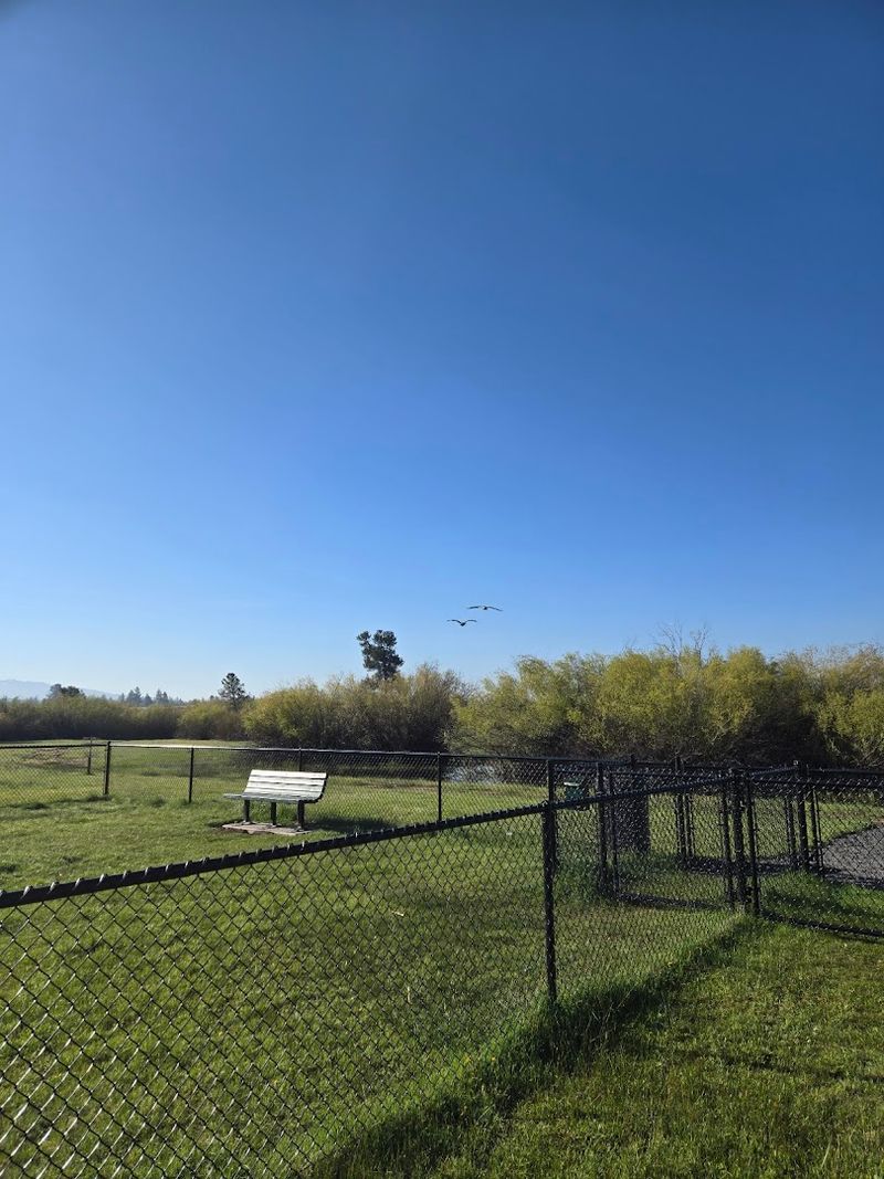 Pet-Friendly Grounds for Four-Legged Campers