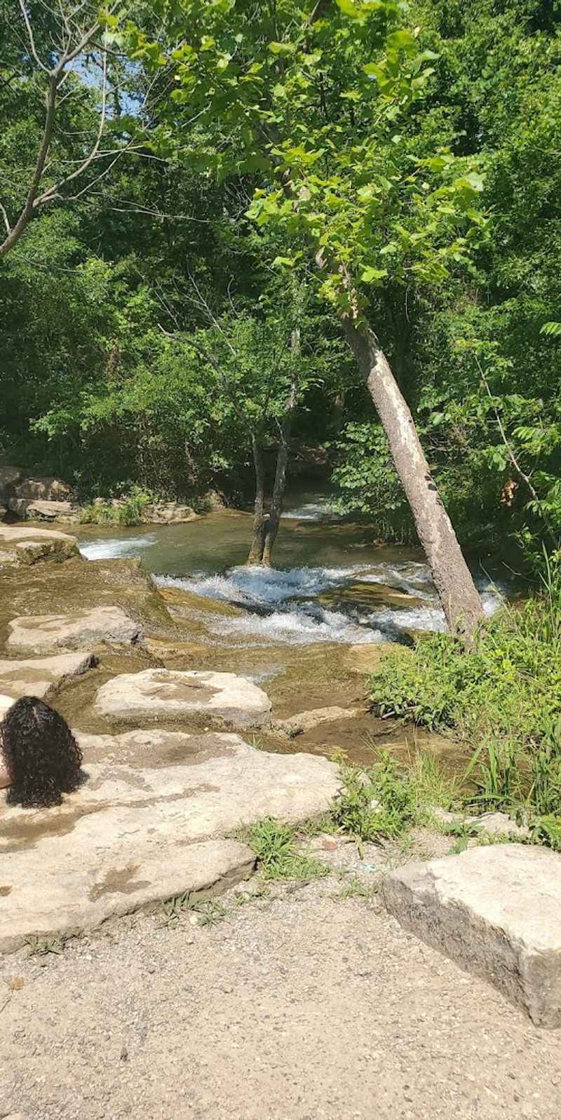 Pets Are Welcome Along the Banks