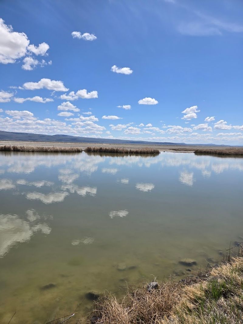 Photography Opportunities at Summer Lake