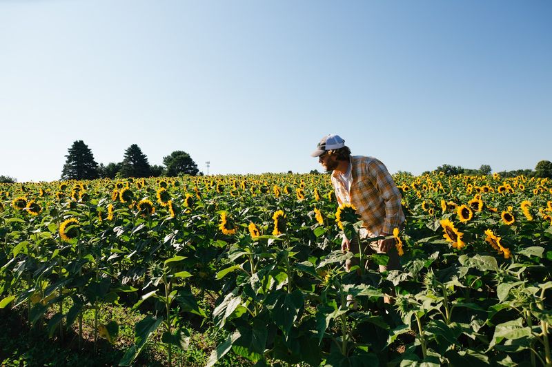 Pick-Your-Own Produce and Flowers Straight from the Field