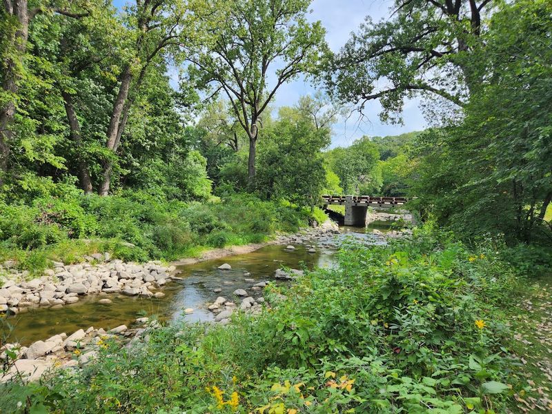 Picnic Areas and Day-Use Spots Worth Lingering In
