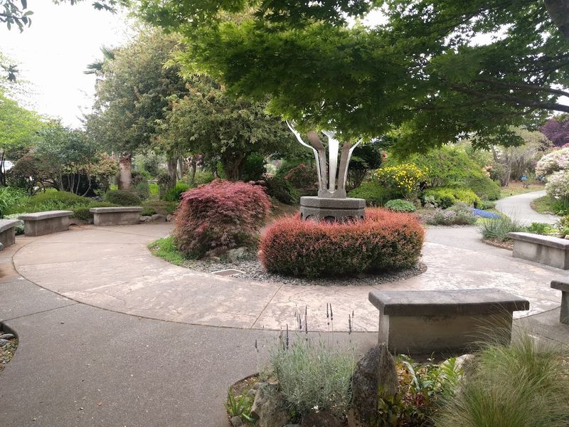 Picnic Areas and Family Gathering Spaces