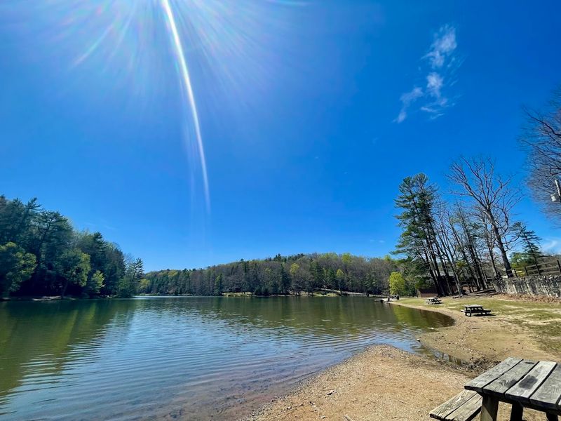Picnic Areas and Family Gathering Spots
