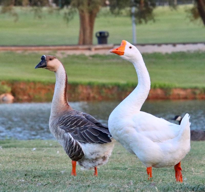 Picnic Areas and Wildlife Make Every Visit Memorable