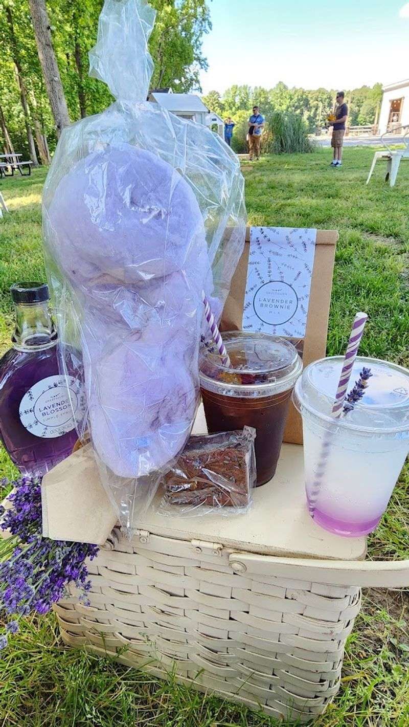 Picnic Packages That Turn a Farm Visit Into a Full Experience Picnic Packages That Turn a Farm Visit Into a Full Experience