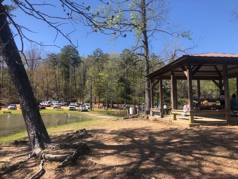 Picnic Spots, A Gazebo, and a Laid-Back Park Atmosphere Picnic Spots, A Gazebo, and a Laid-Back Park Atmosphere