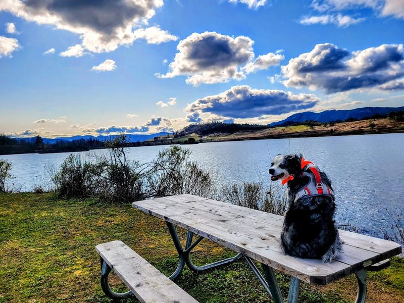 Picnic Spots That Actually Make You Want to Linger Picnic Spots That Actually Make You Want to Linger