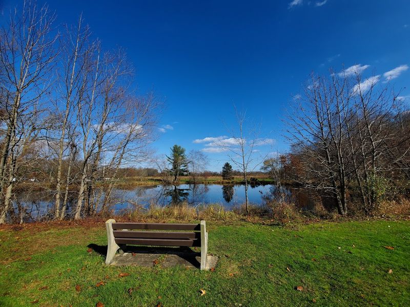 Picnicking and Relaxing in a Truly Serene Setting
