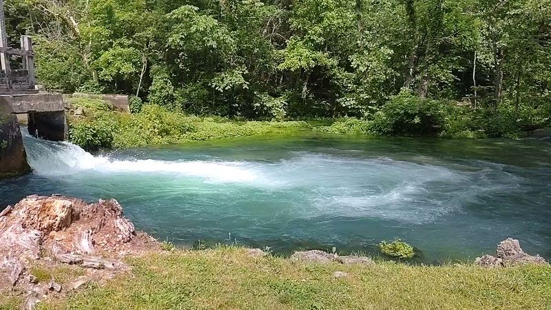 Picnicking and Relaxing in the Natural Setting