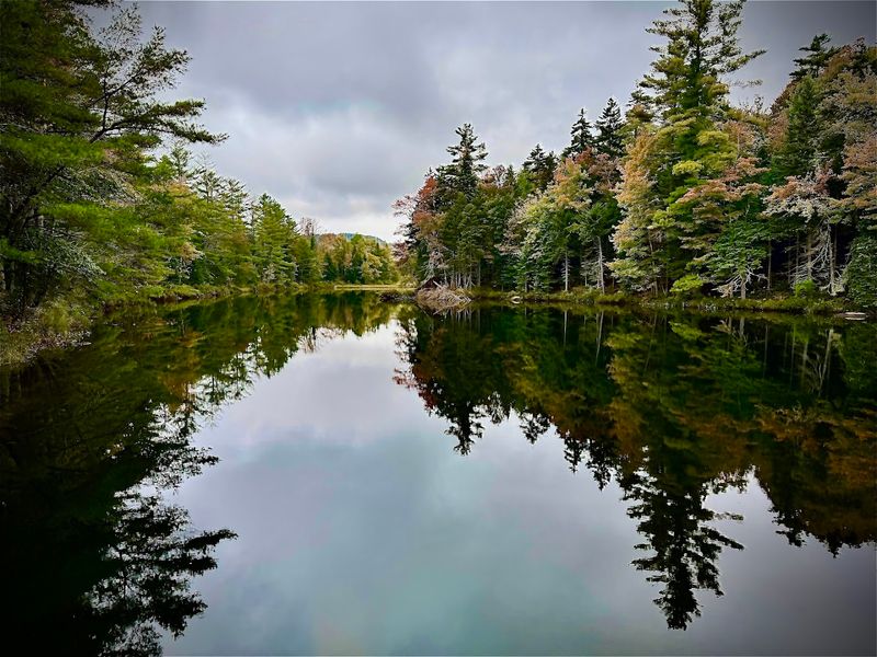 Pillsbury State Park, Washington