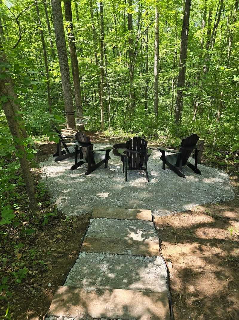 Plan A Walk Through Hammock Forest Trails