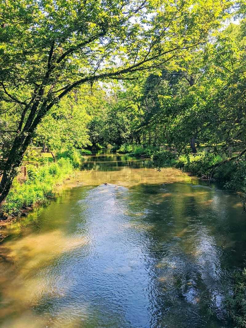 Plan Extra Time To Walk Along Shoal Creek Plan Extra Time To Walk Along Shoal Creek