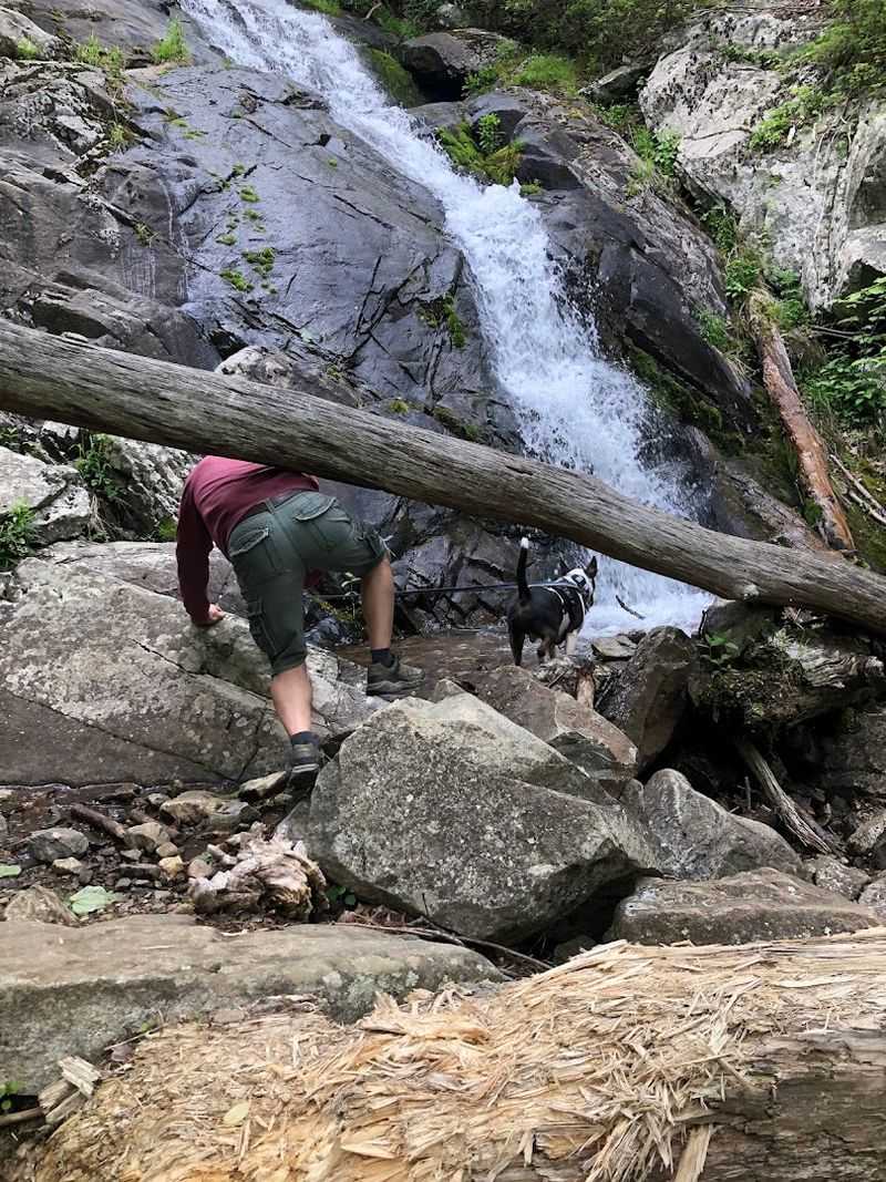 Plan Your Visit and Hit the Trail Before the Crowd Does