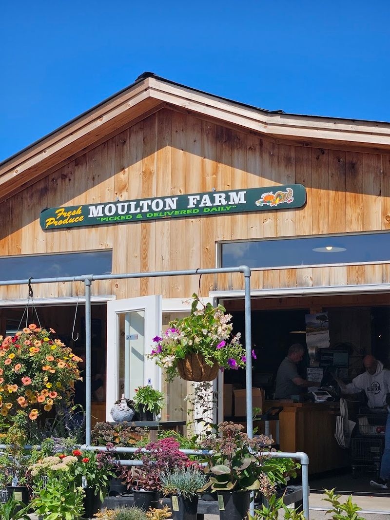 Plan Your Visit to Moulton Farm in Meredith Plan Your Visit to Moulton Farm in Meredith