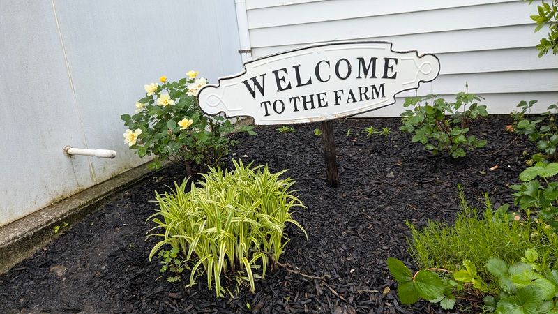 Planning Your Own Day Trip to Friendly Farm