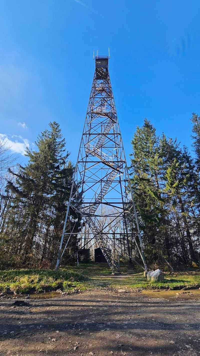 Planning Your Trip to the Olson Observation Tower