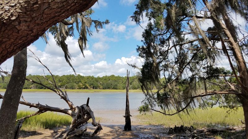 Planning Your Visit: Practical Tips for Getting the Most Out of Skidaway Planning Your Visit: Practical Tips for Getting the Most Out of Skidaway