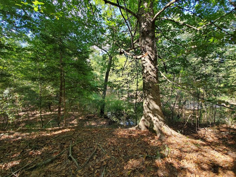 Planning Your Visit: Practical Tips for the Trail Planning Your Visit: Practical Tips for the Trail