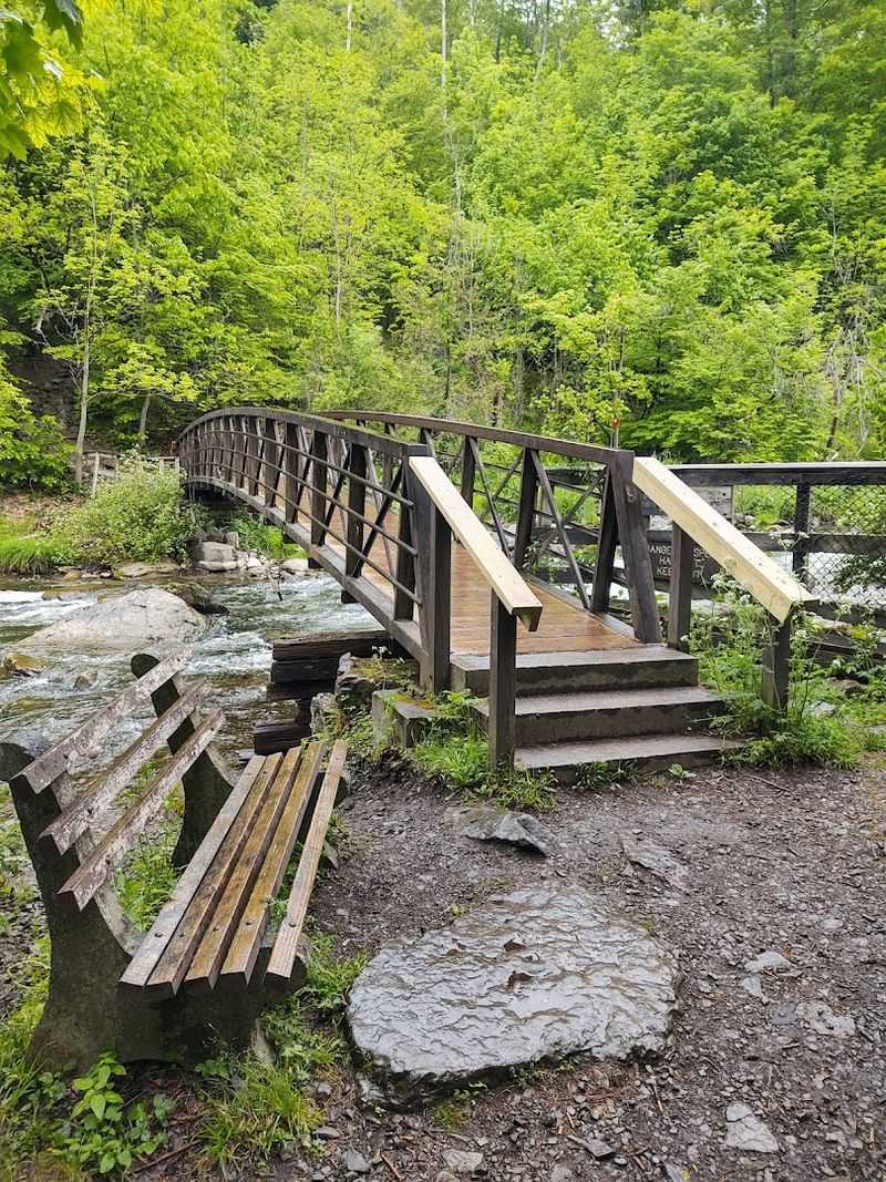 Planning Your Visit: Trails, Picnic Areas, and What to Expect