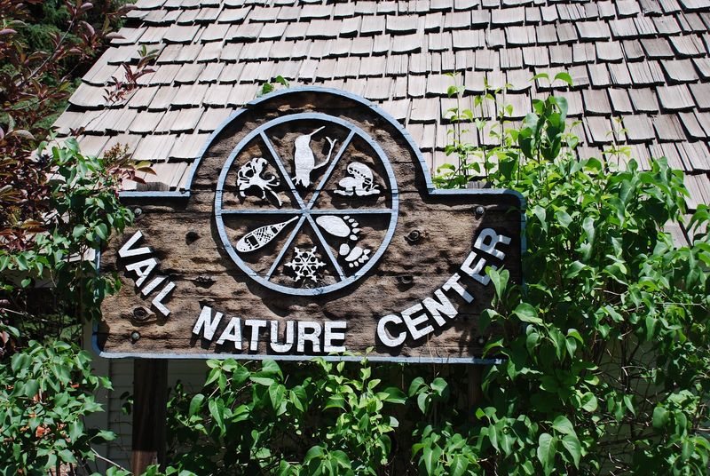 Planning Your Visit: What to Know Before You Go