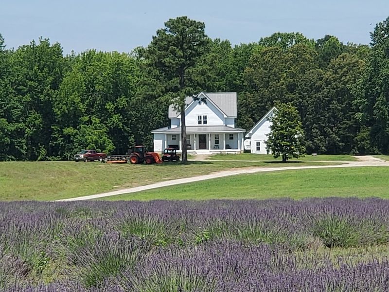 Planning Your Visit to 2460 Bush Neck Road Planning Your Visit to 2460 Bush Neck Road