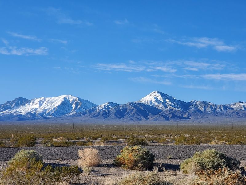 Planning Your Visit to Ash Meadows