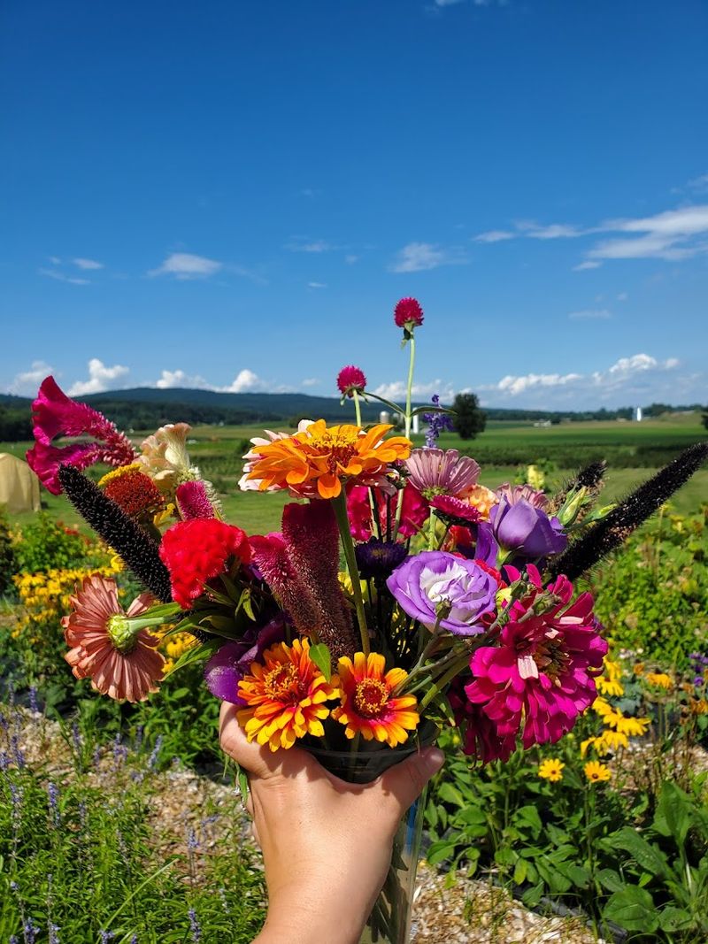 Planning Your Visit to Catoctin Mountain Orchard
