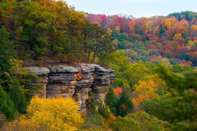 Planning Your Visit to Conkle's Hollow State Nature Preserve Planning Your Visit to Conkle's Hollow State Nature Preserve