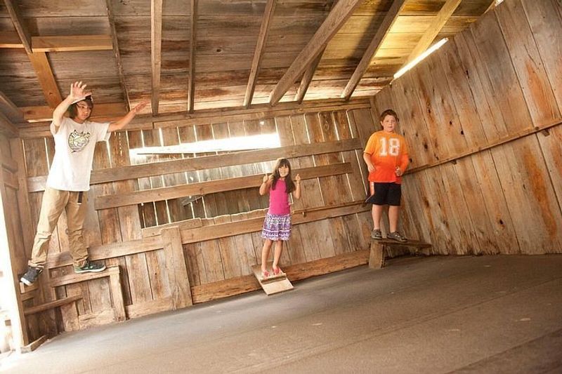 Planning Your Visit to Cosmos Mystery Area