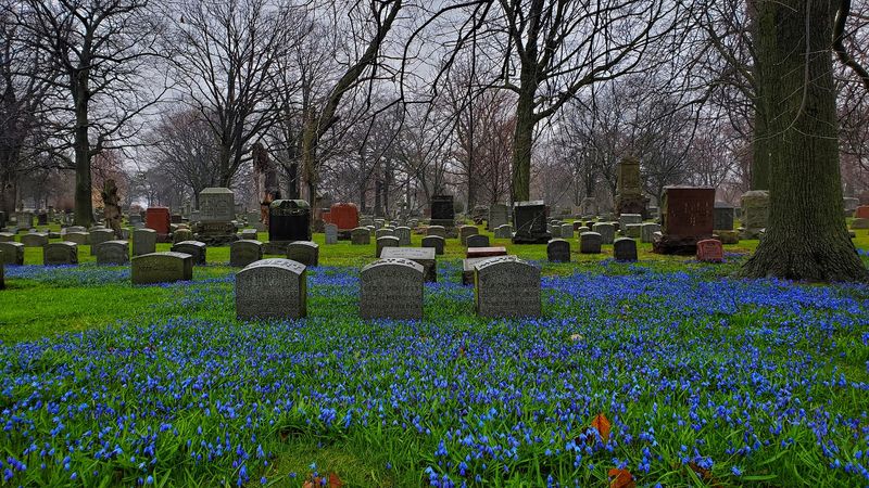 Planning Your Visit to Forest Home Cemetery and Arboretum Planning Your Visit to Forest Home Cemetery and Arboretum