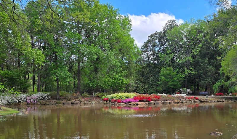 Planning Your Visit to Get the Most Out of Honor Heights Park