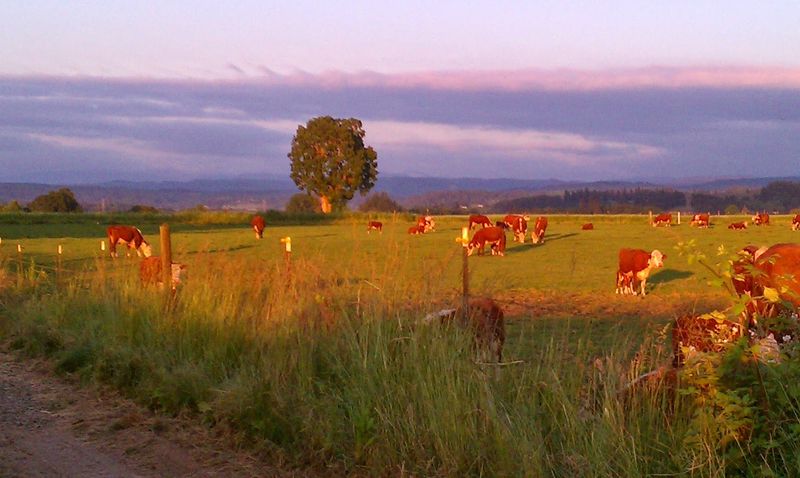 Planning Your Visit to Lonely Lane Farms