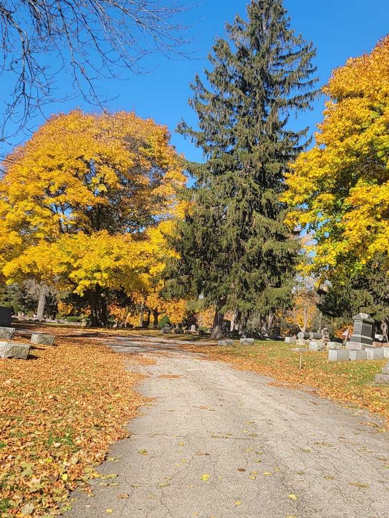 Planning Your Visit to Mound Cemetery