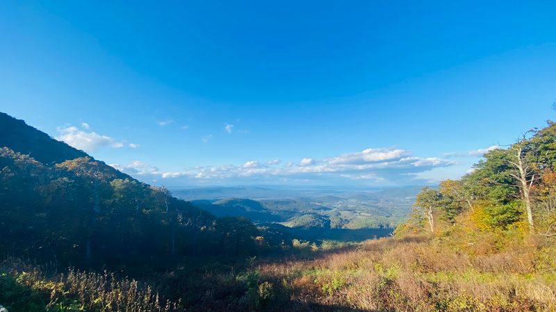 Planning Your Visit to The Point Overlook in Elkton Planning Your Visit to The Point Overlook in Elkton
