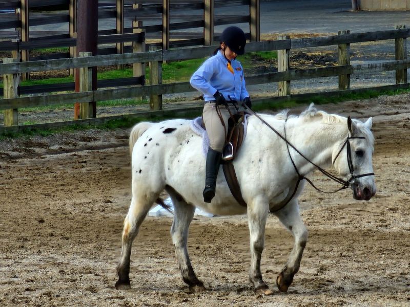 Planning Your Visit to Watchung Stable Planning Your Visit to Watchung Stable
