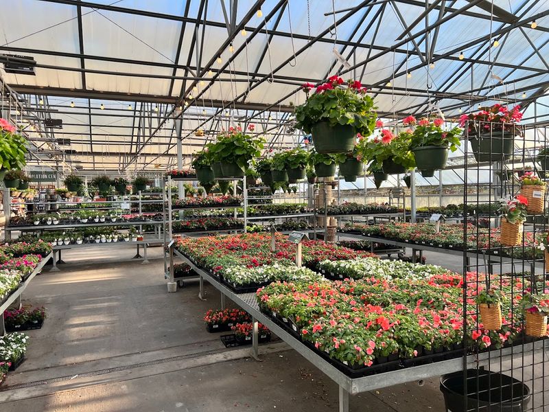 Plant Health Here Is Noticeably Above Average