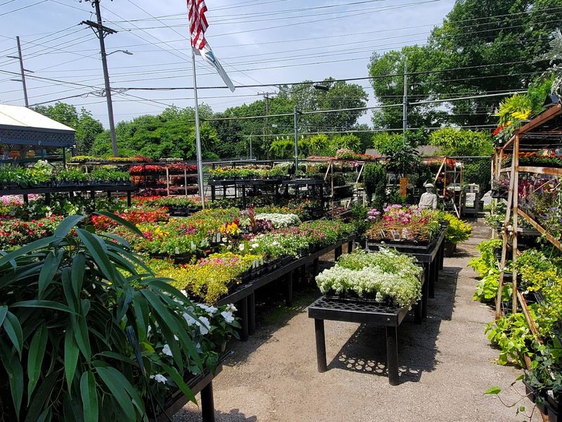 Plants for Every Type of Oklahoma Garden