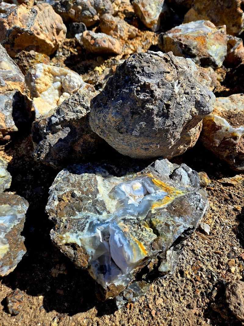 Polka Dot Agate Mine, Madras, Oregon