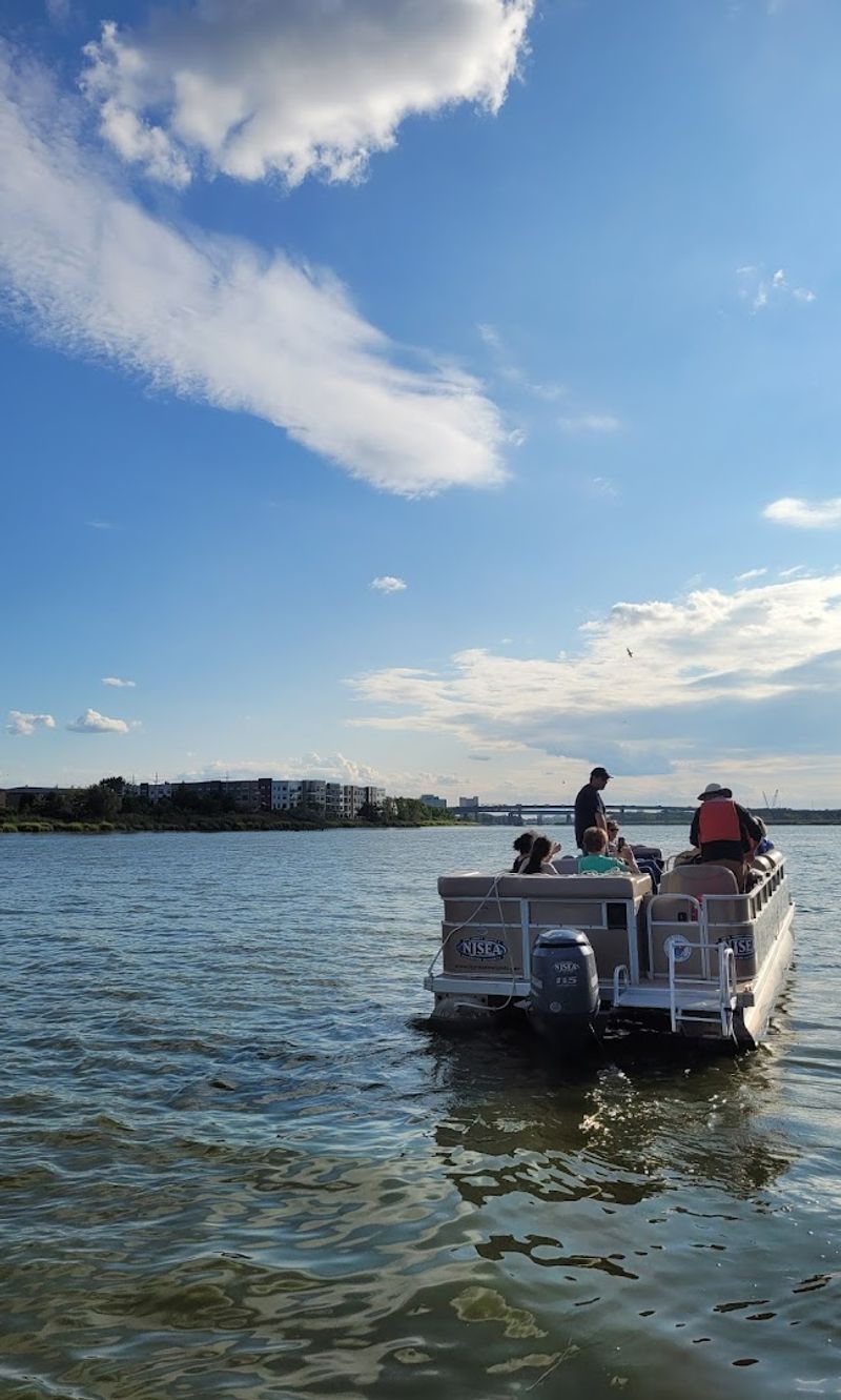 Pontoon Boat Tours That Surprise Everyone Pontoon Boat Tours That Surprise Everyone
