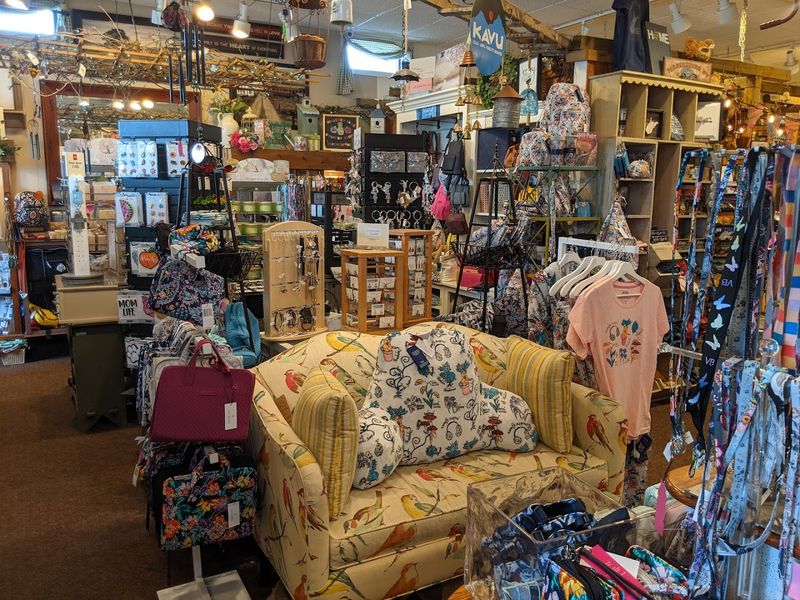 Popular Brands in a Cozy Setting