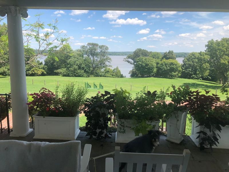 Potomac River Views That Absolutely Stop You in Your Tracks