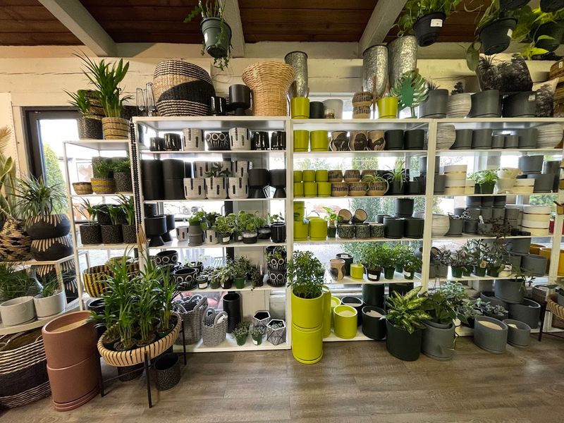 Pottery and Planters That Actually Make You Stop Walking Pottery and Planters That Actually Make You Stop Walking