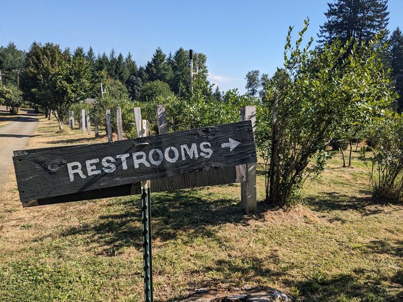 Practical Amenities That Keep the Visit Comfortable