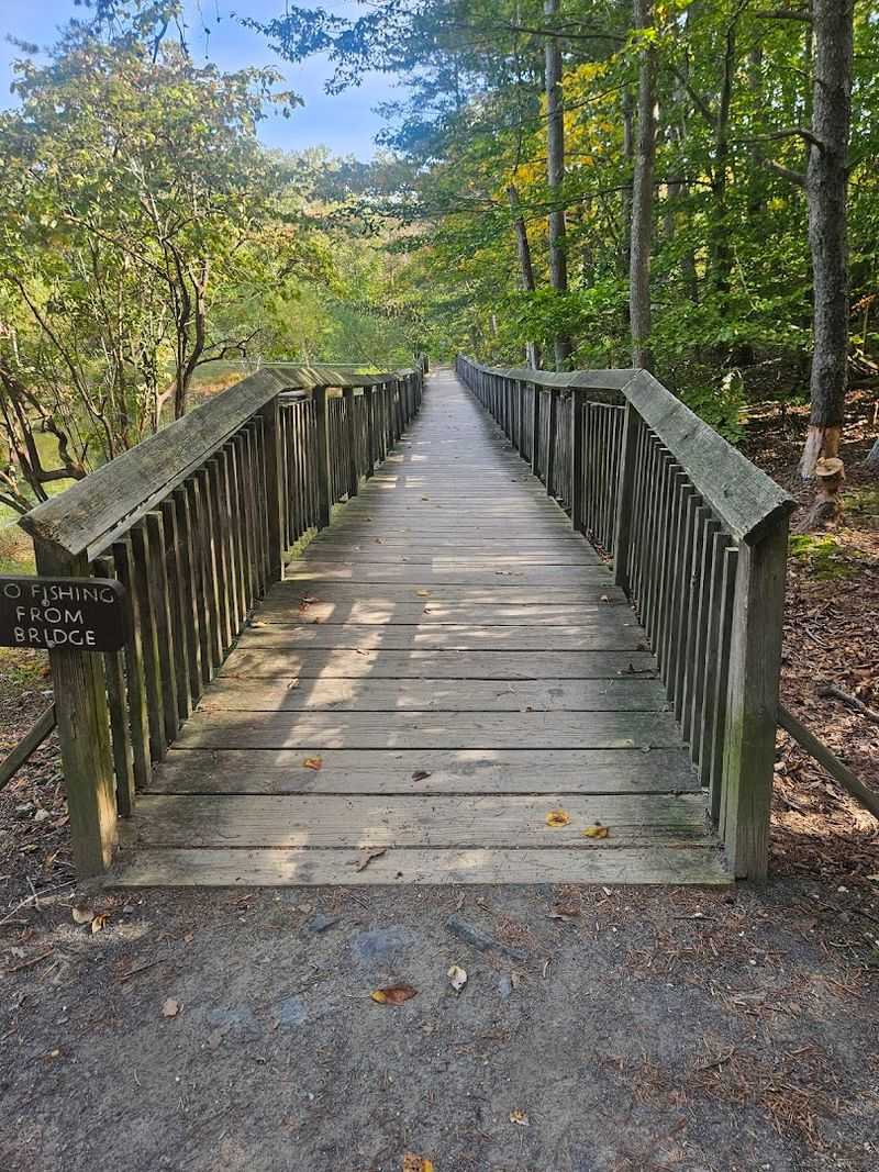 Practical Tips for Planning Your Visit