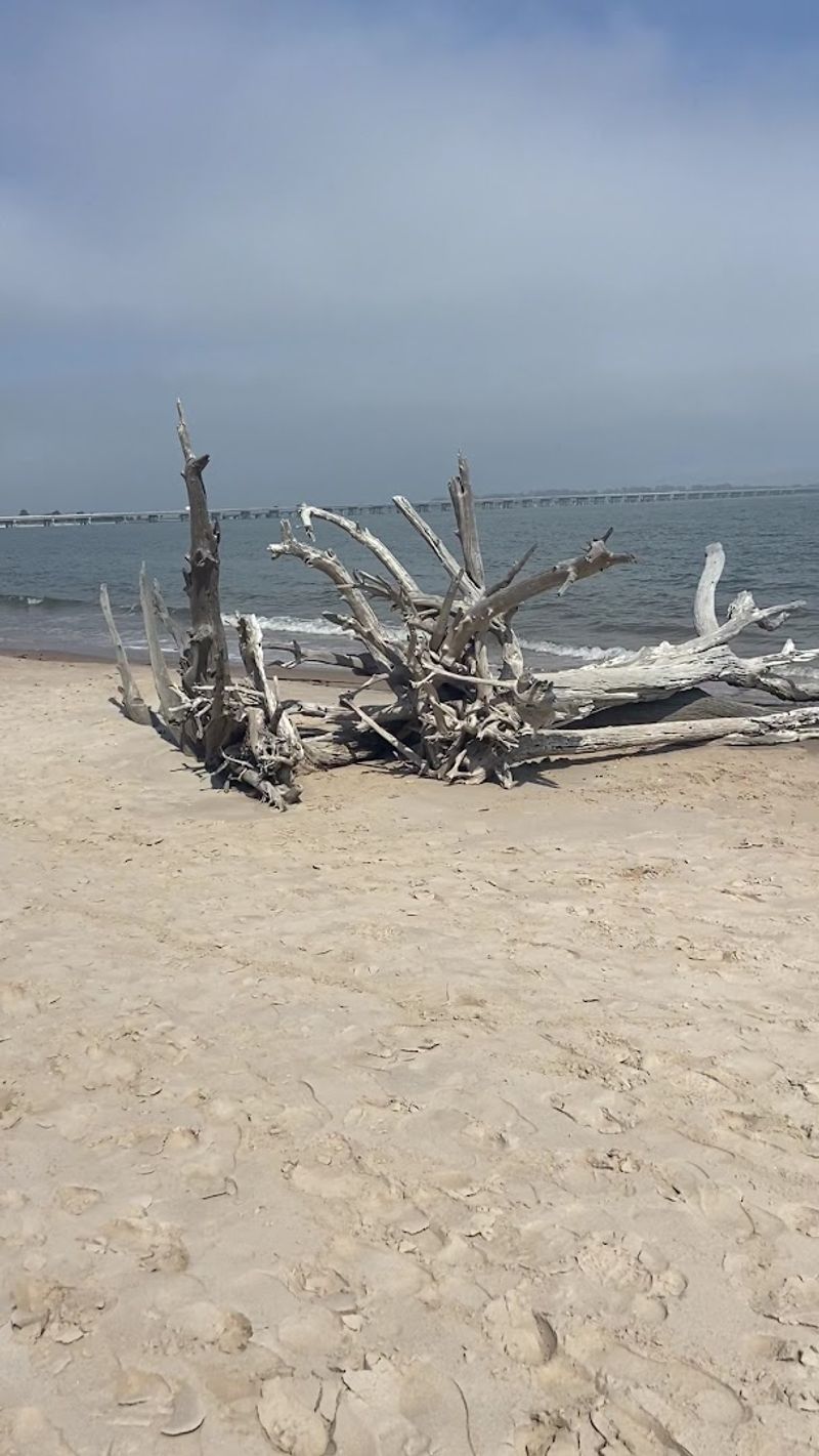 Practical Tips for Planning Your Visit to Boneyard Beach Practical Tips for Planning Your Visit to Boneyard Beach