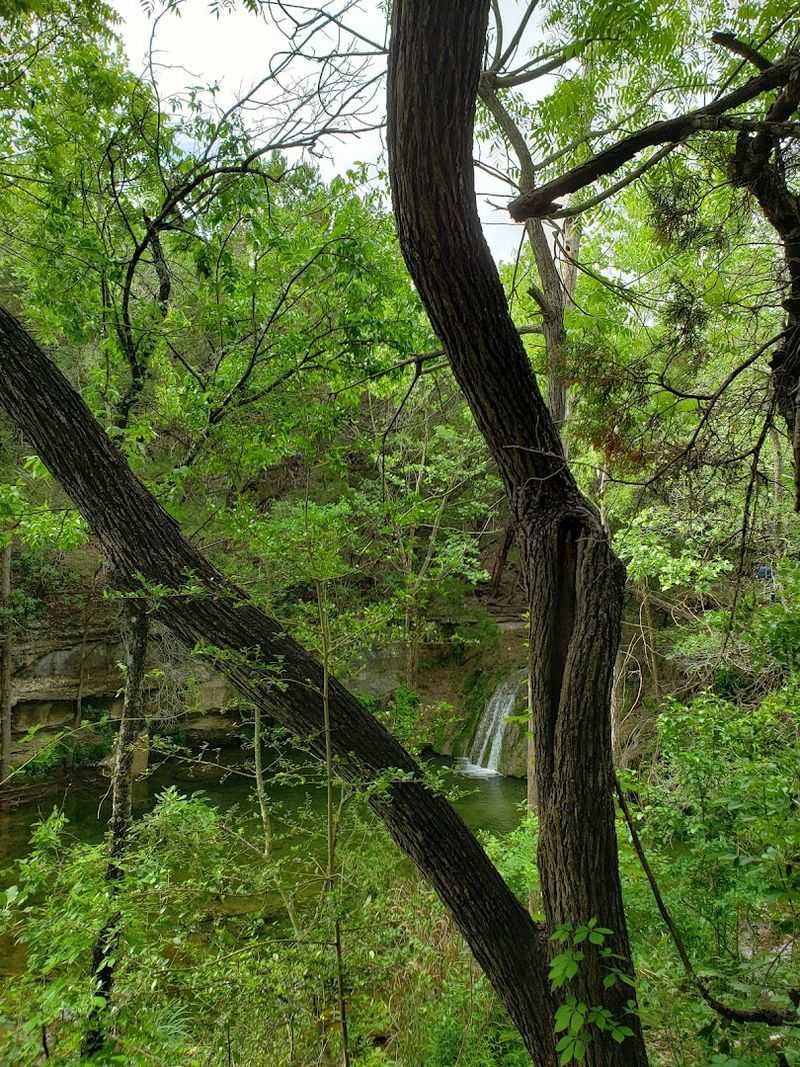 Practical Tips for Planning Your Visit to Wild Basin