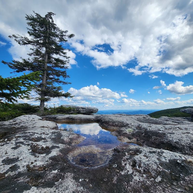 Practical Tips for Visiting Dolly Sods Without Getting Into Trouble