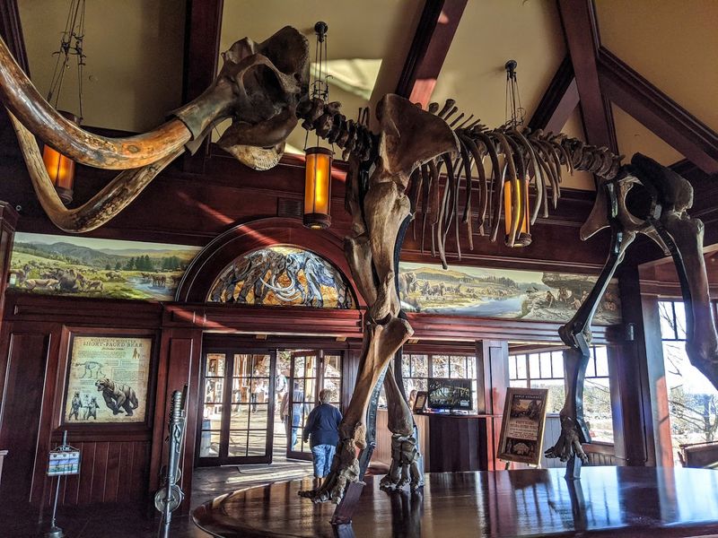 Prehistoric Ozarks and the Animals of Another Age Prehistoric Ozarks and the Animals of Another Age